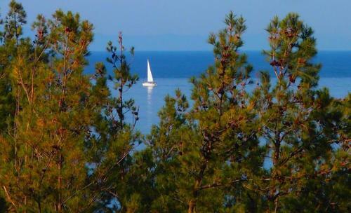 Apartamento Agyra Villa