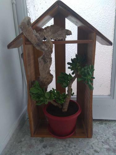 Apartamento Studio Galaxy