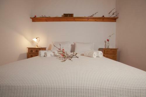 Evilion Escape Villa Pelion