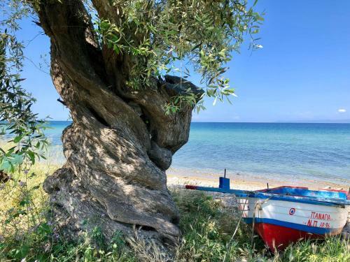 Byblos Luxury Villa