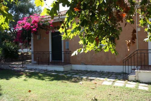 Nemorosa Apartments