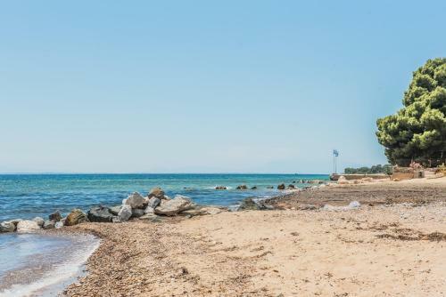 Hostal Citro By The Sea