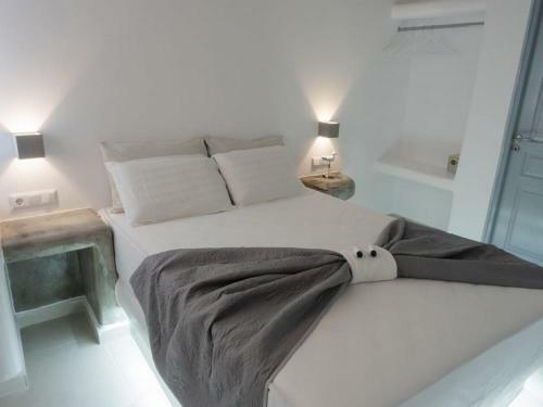 Hotel Mykonos Petra Suites & Rooms