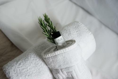 Hotel Mykonos Petra Suites & Rooms