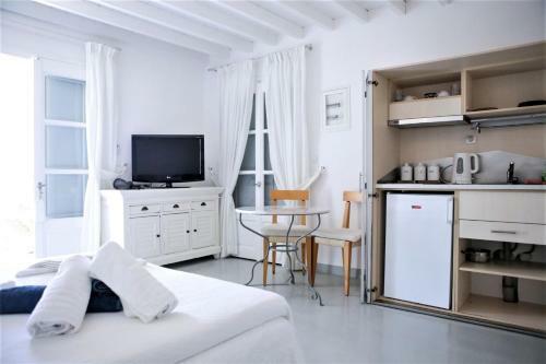 Fully Flexible Policy!! Manu Quality Brand Villa Mykonos