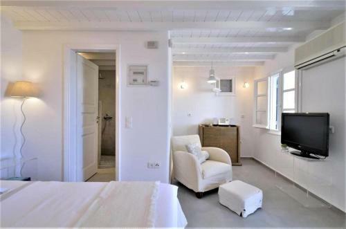 Fully Flexible Policy!! Manu Quality Brand Villa Mykonos
