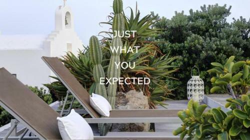 Fully Flexible Policy!! Manu Quality Brand Villa Mykonos
