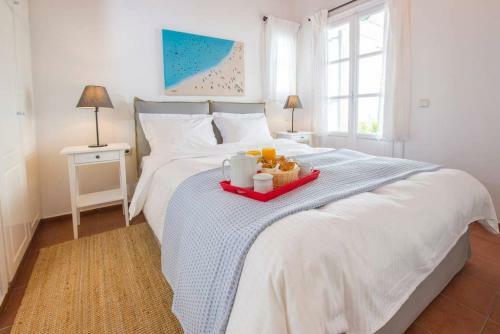 Mykonos Psarrou Villas For 18 People