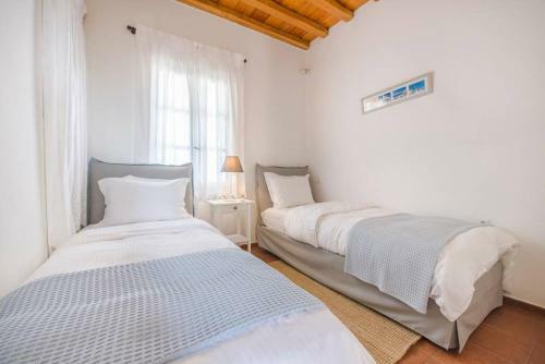 Mykonos Psarrou Villas For 18 People