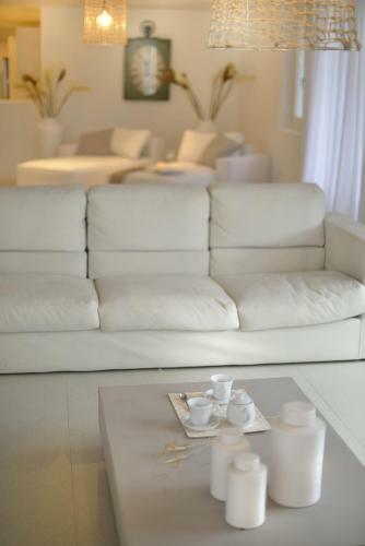 Villa Elmina In Mykonos