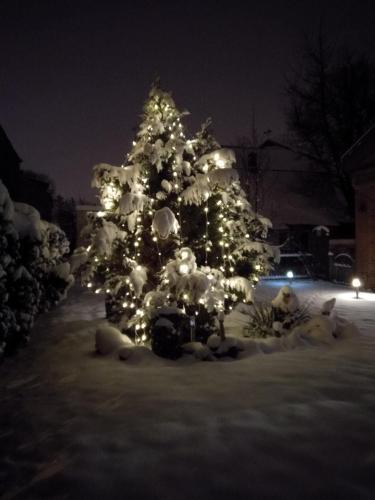 Bed & Breakfast Linos Apartamentai