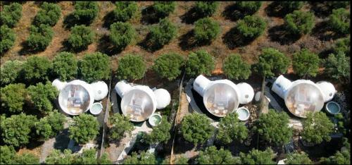 Bubble Suites