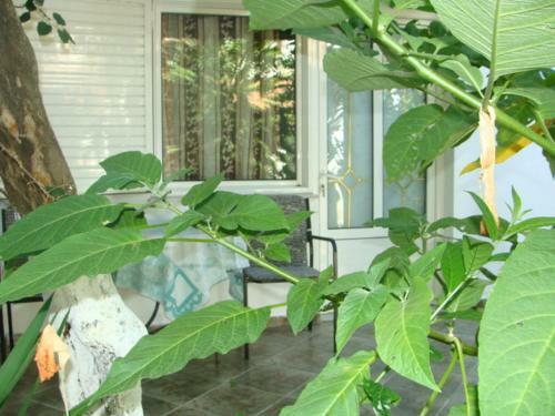 Apartamento Valtos Garden