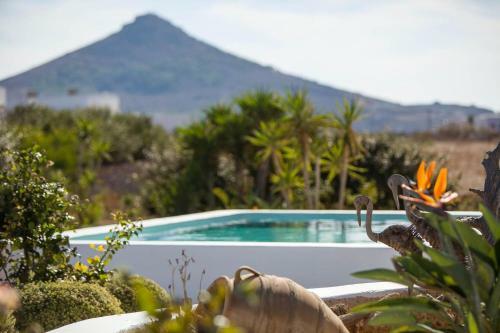 Platinum Paros Villa Villa Elegance 5 Bedrooms Private Pool Tsoukalia