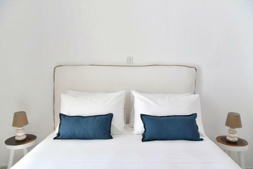 Luxury Paros Villa Villa Aethra Beautiful Serene Glisidia