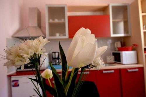 Apartamento Flora Maisonettes 2
