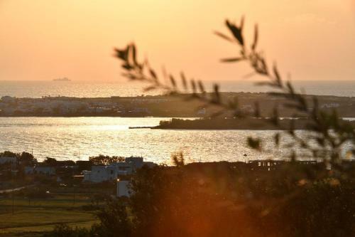 Luxury Paros Villa Villa Akaste Beautiful Serene Glisidia