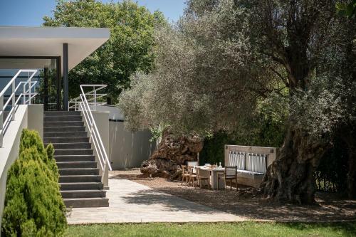 Villa 7