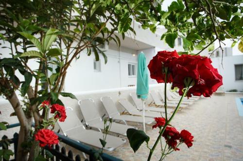 Spacious Apartment In Plakias