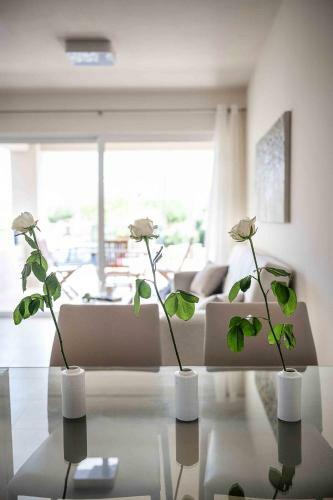 Apartamento Aphrodite Beachfront