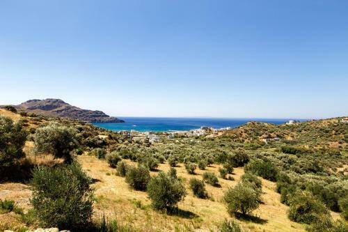Almond Cottage With A Sea View Above Plakias