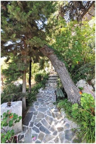 Poros Pine Villa