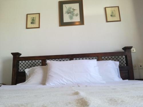Hostal ???????