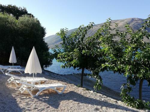 Hostal Plataria Palace