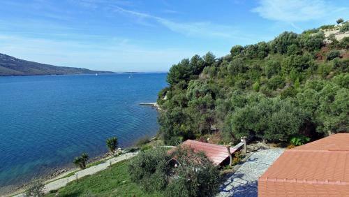 Hostal Plataria Palace