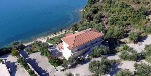 Hostal Plataria Palace