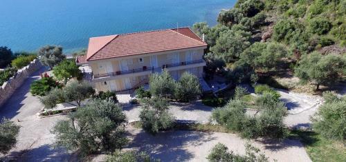 Hostal Plataria Palace