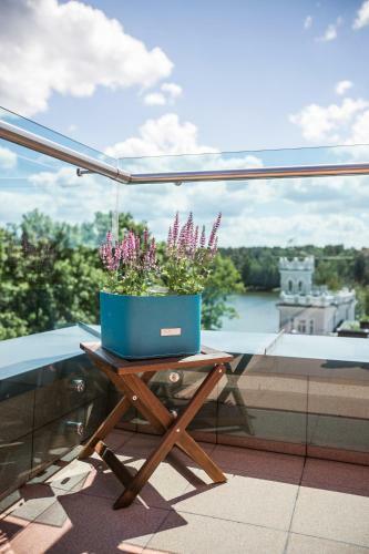 Hotel Vie?butis Simpatija