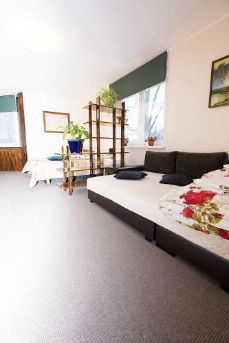 Hostal Guest House Drusva
