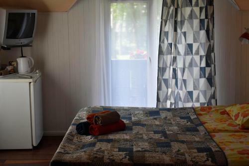 Hostal Druspolis