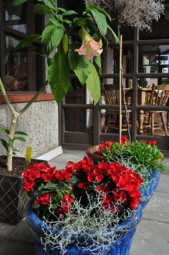 Hostal Molo U?eiga Inn