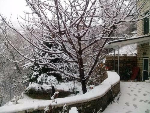 Hostal Casa Lanoi