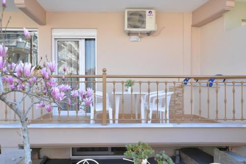Apartamento Vila Elvina