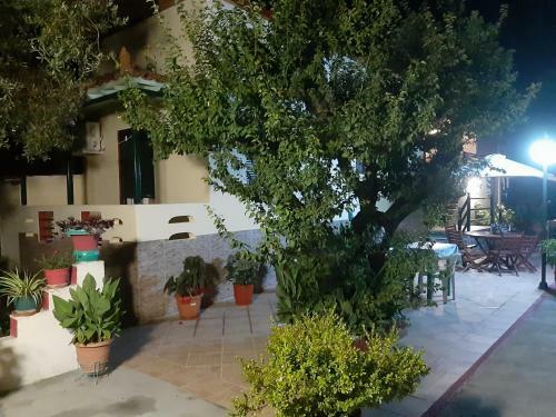 Apartamento Pension Soula