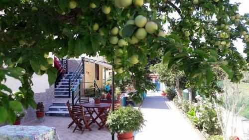 Apartamento Pension Soula