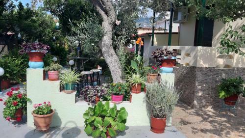 Apartamento Pension Soula