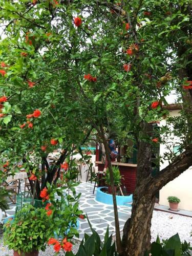 Apartamento Pension Soula