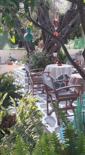 Apartamento Pension Soula