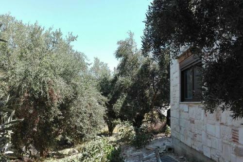 Luxurious Villa Spilia