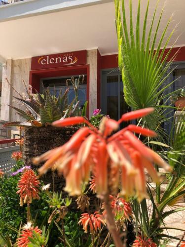 Bed & Breakfast Elenas