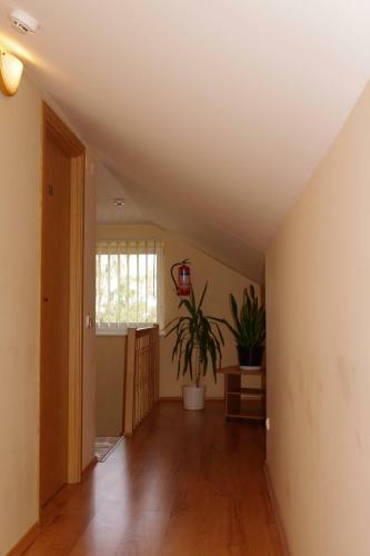 Hostal Turn? Guest House