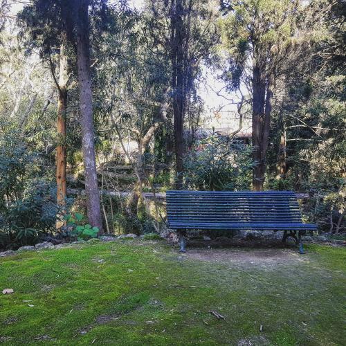 Apartamento Rodini House