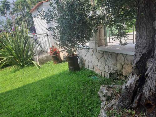 Apartamento Danai Studios