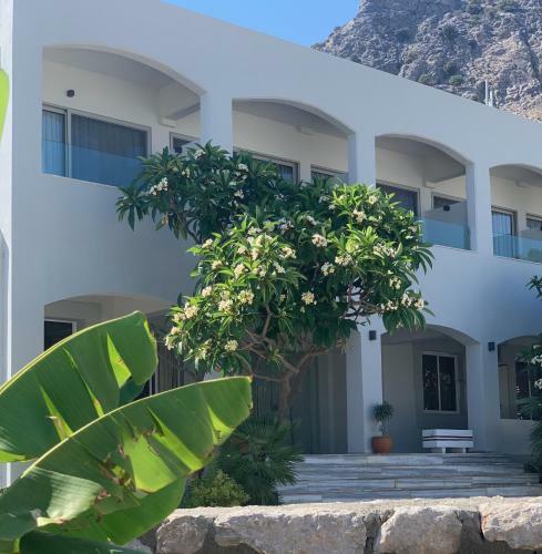 Apartamento Pals Studios Pefkos
