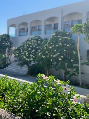 Apartamento Pals Studios Pefkos