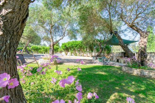 Villa Rosa 2 , Dassia , Corfu